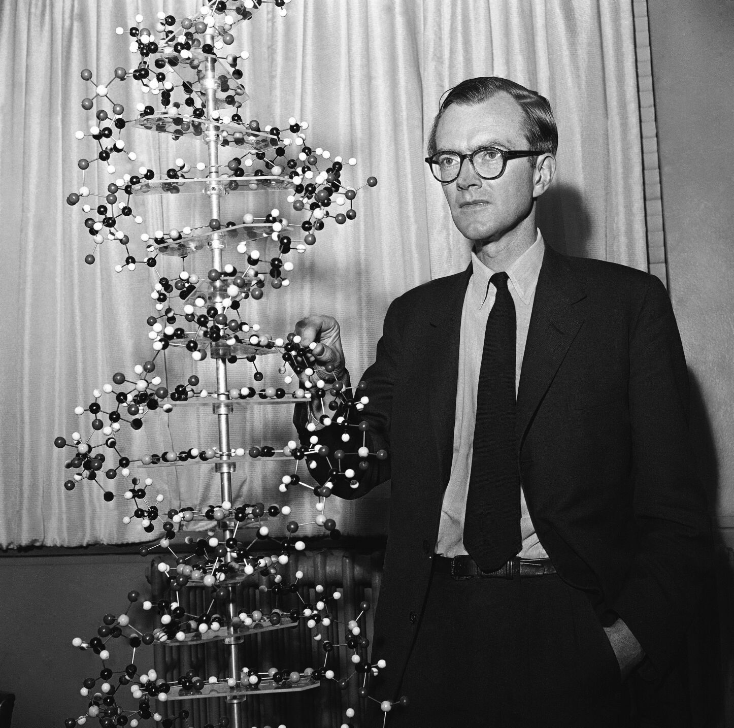 1962: DNA